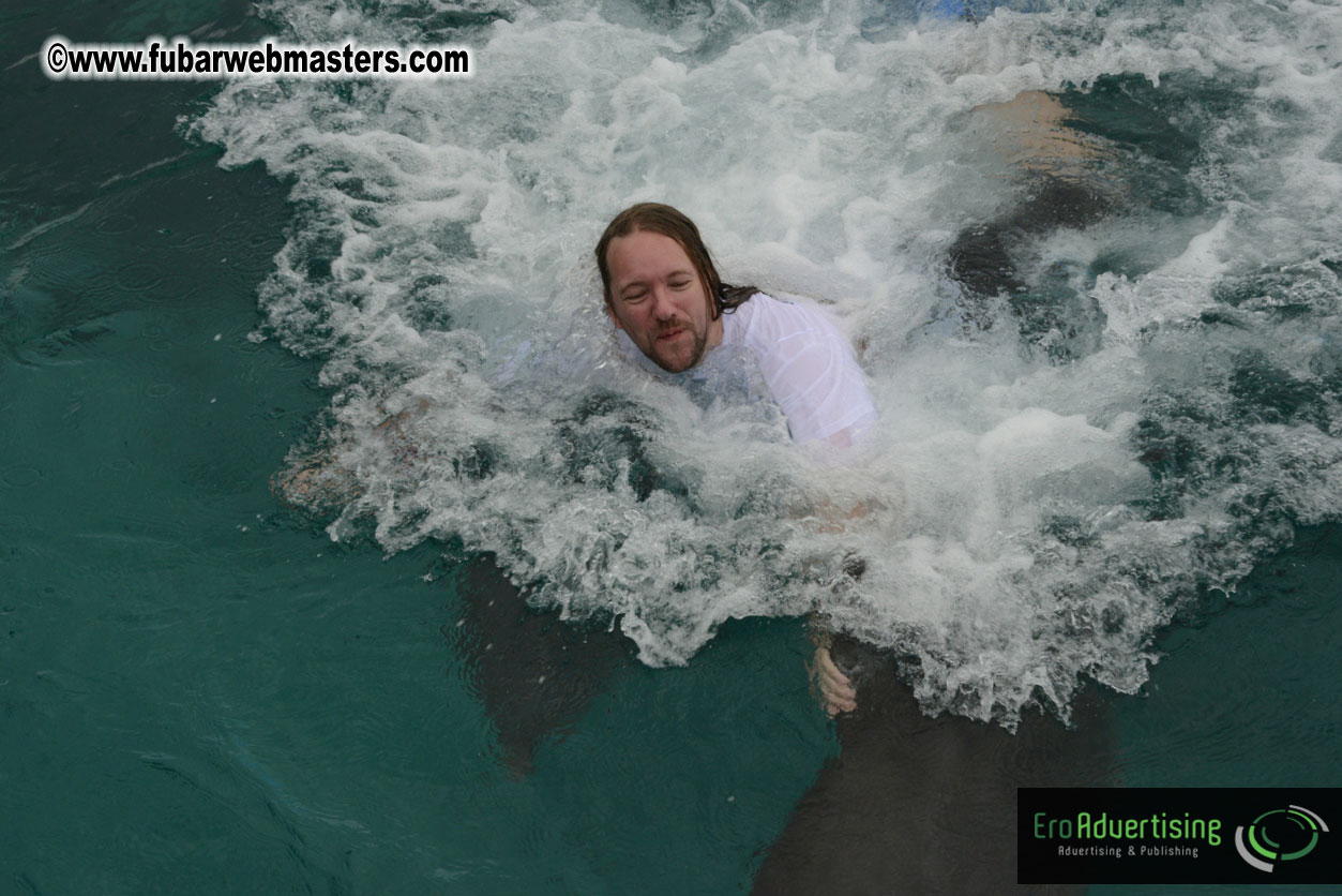 WireCard Dolphin Swim