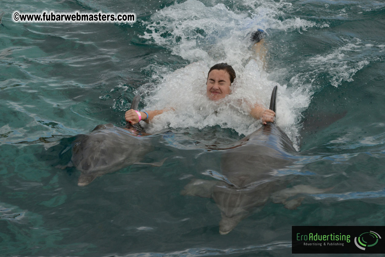 WireCard Dolphin Swim