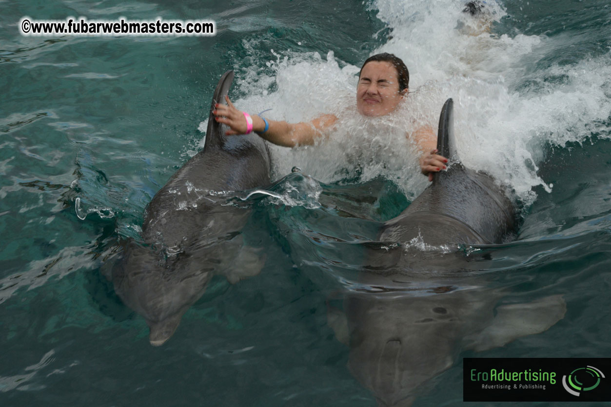 WireCard Dolphin Swim