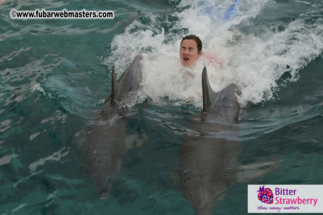 WireCard Dolphin Swim