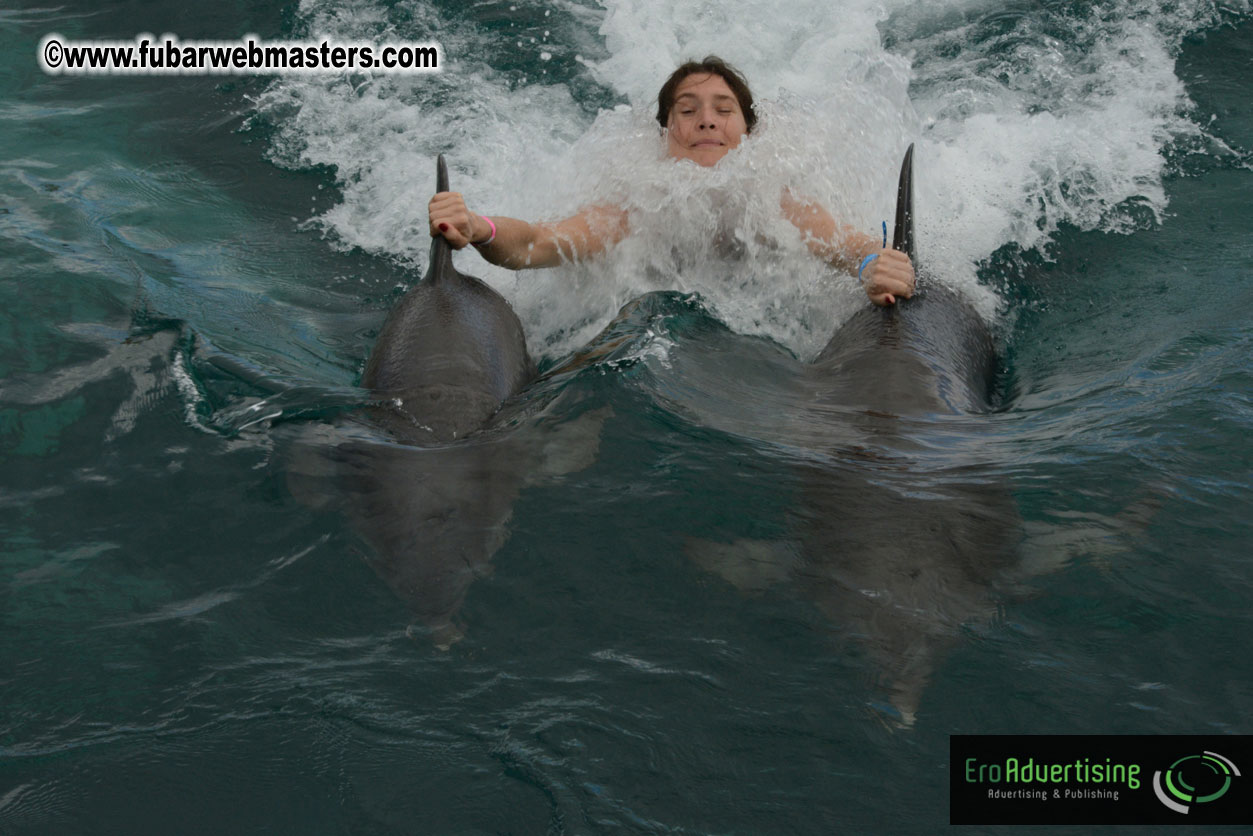 WireCard Dolphin Swim