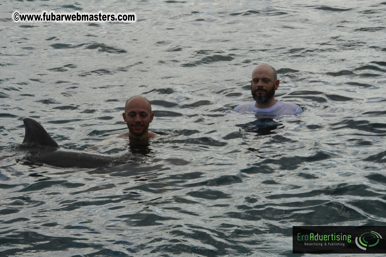 WireCard Dolphin Swim