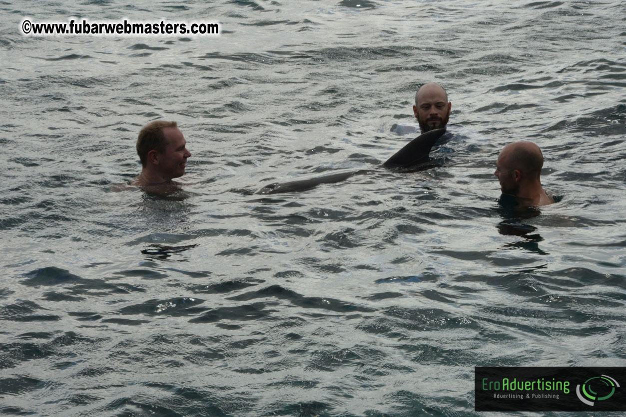 WireCard Dolphin Swim