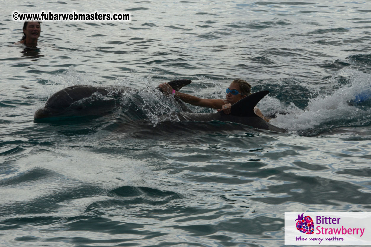 WireCard Dolphin Swim