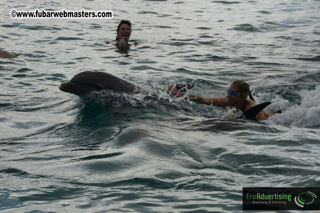 WireCard Dolphin Swim