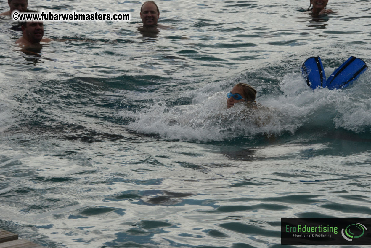 WireCard Dolphin Swim
