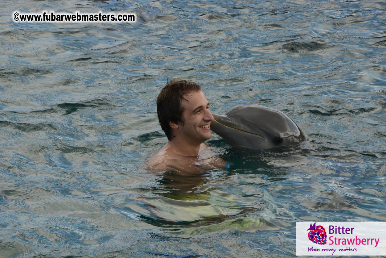 WireCard Dolphin Swim