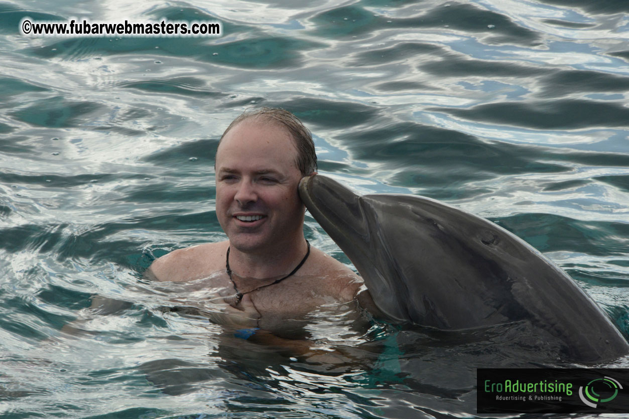 WireCard Dolphin Swim