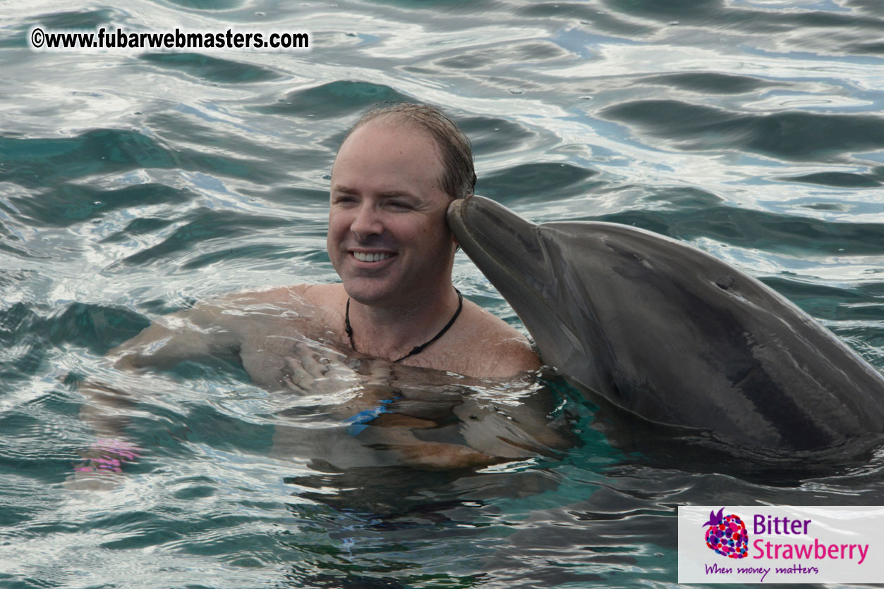 WireCard Dolphin Swim