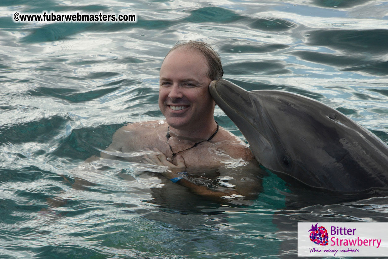 WireCard Dolphin Swim