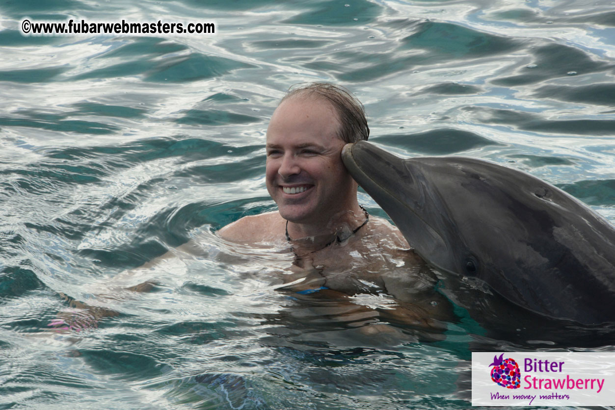 WireCard Dolphin Swim