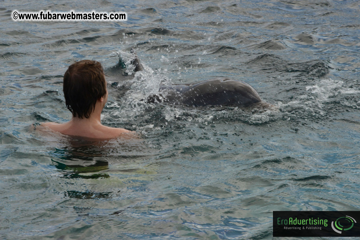 WireCard Dolphin Swim