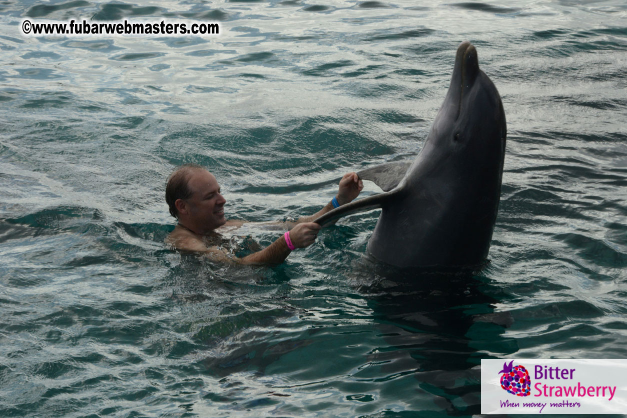 WireCard Dolphin Swim