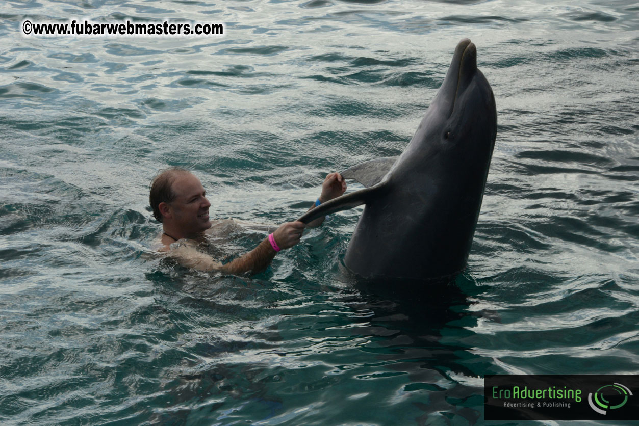 WireCard Dolphin Swim