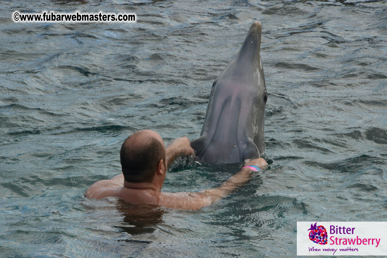 WireCard Dolphin Swim