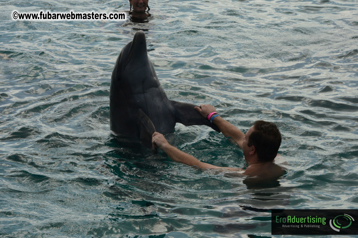 WireCard Dolphin Swim