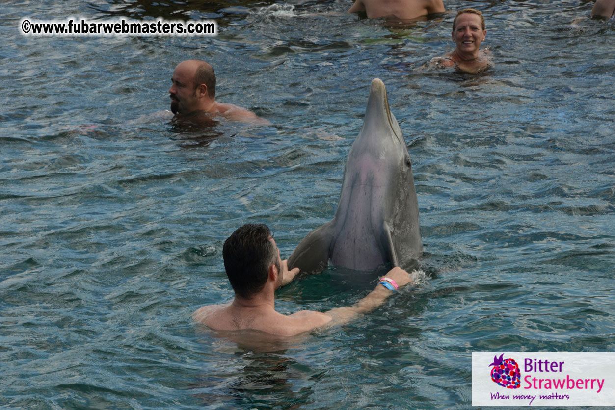 WireCard Dolphin Swim