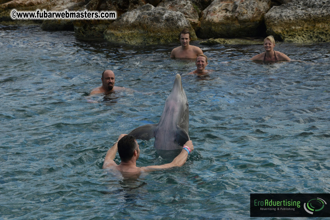 WireCard Dolphin Swim
