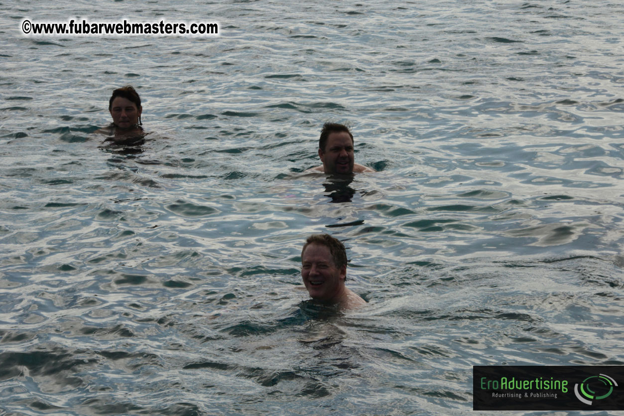 WireCard Dolphin Swim