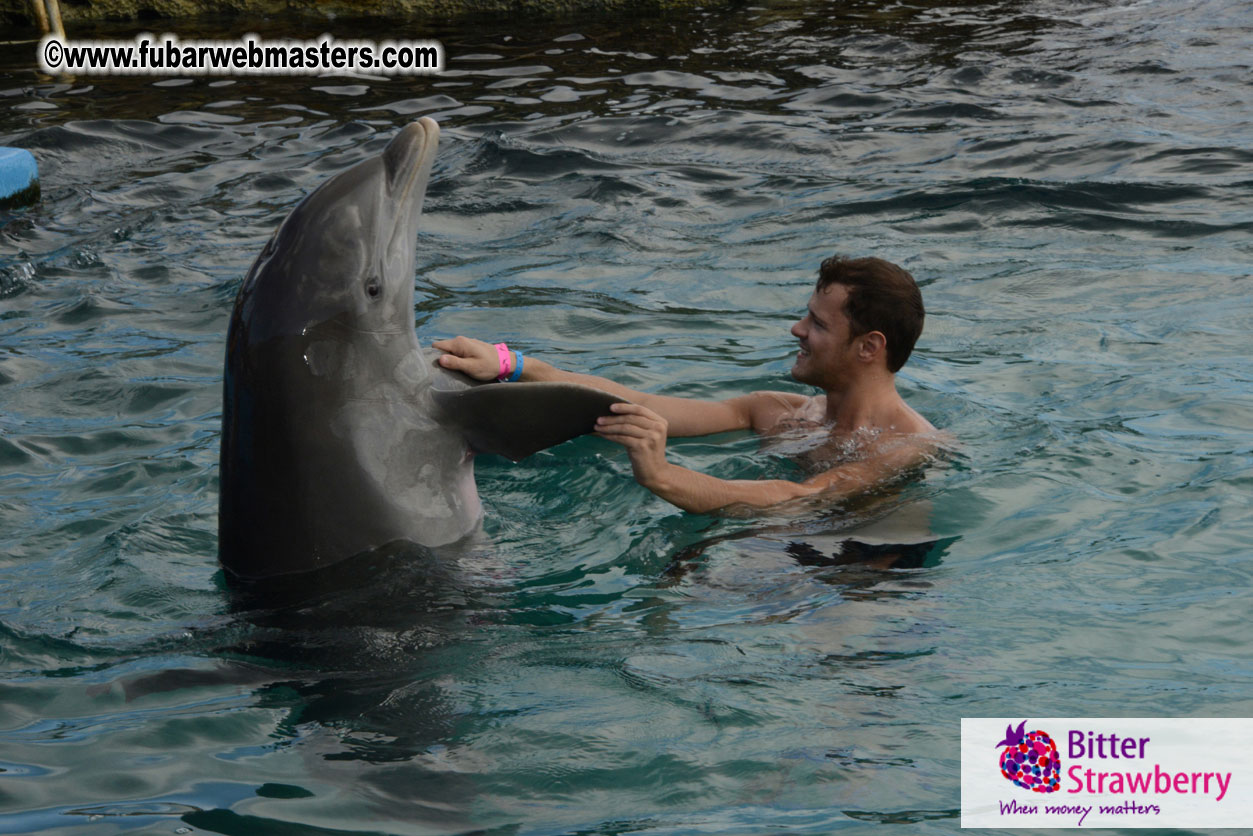 WireCard Dolphin Swim