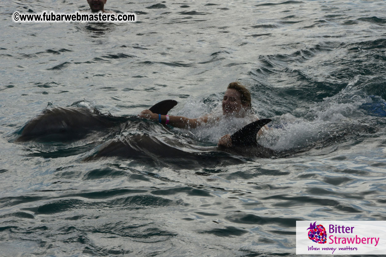 WireCard Dolphin Swim