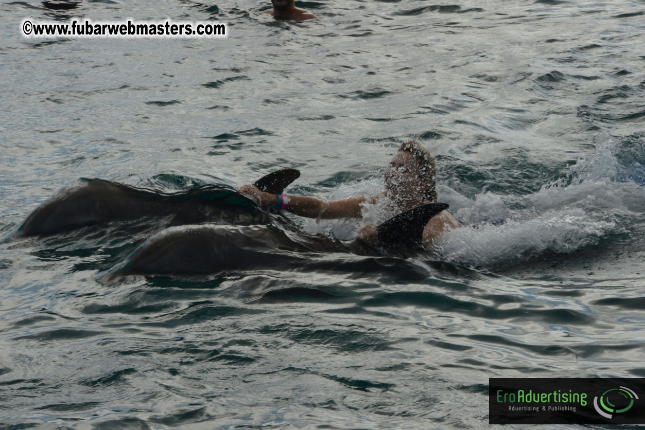 WireCard Dolphin Swim