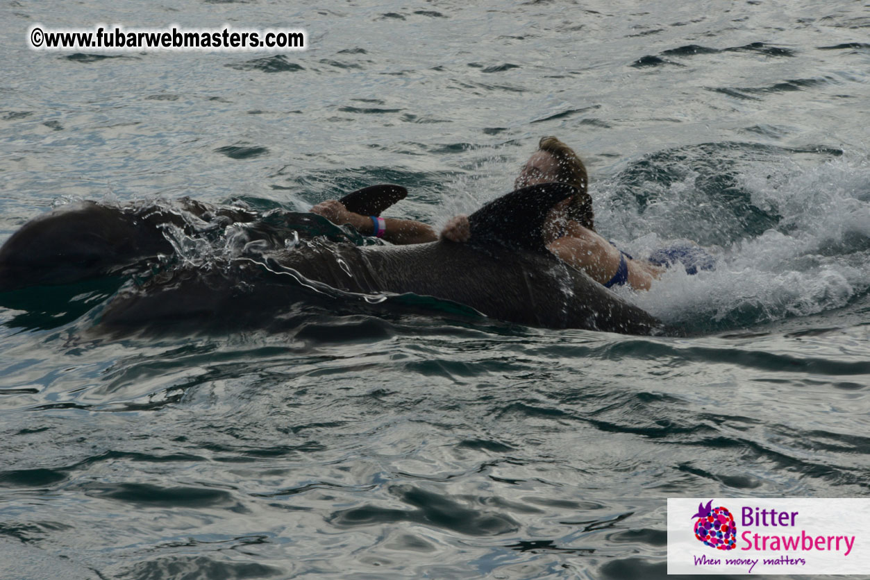 WireCard Dolphin Swim