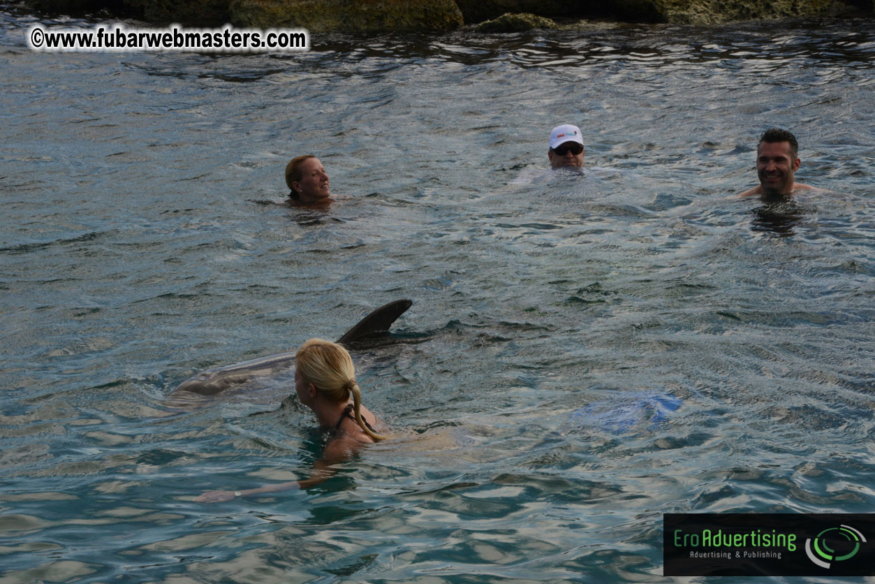 WireCard Dolphin Swim