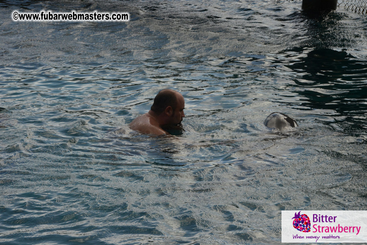 WireCard Dolphin Swim