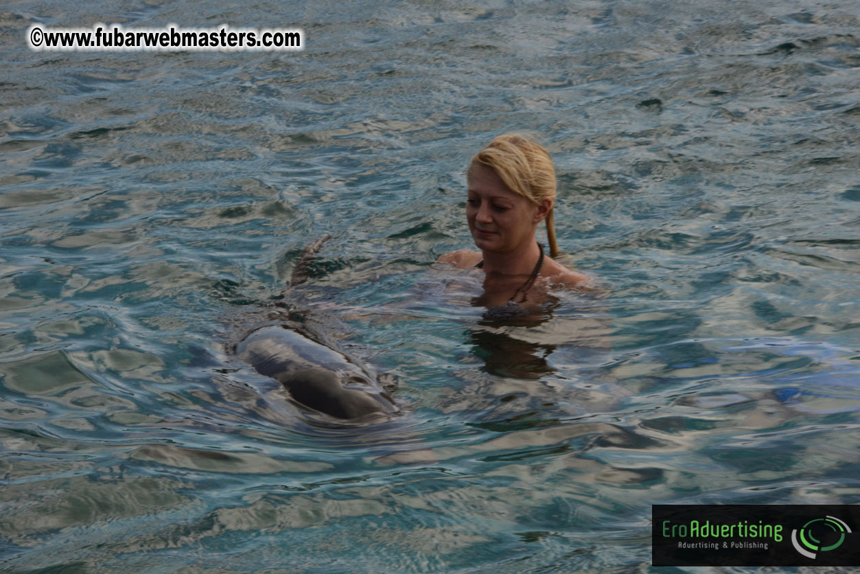 WireCard Dolphin Swim