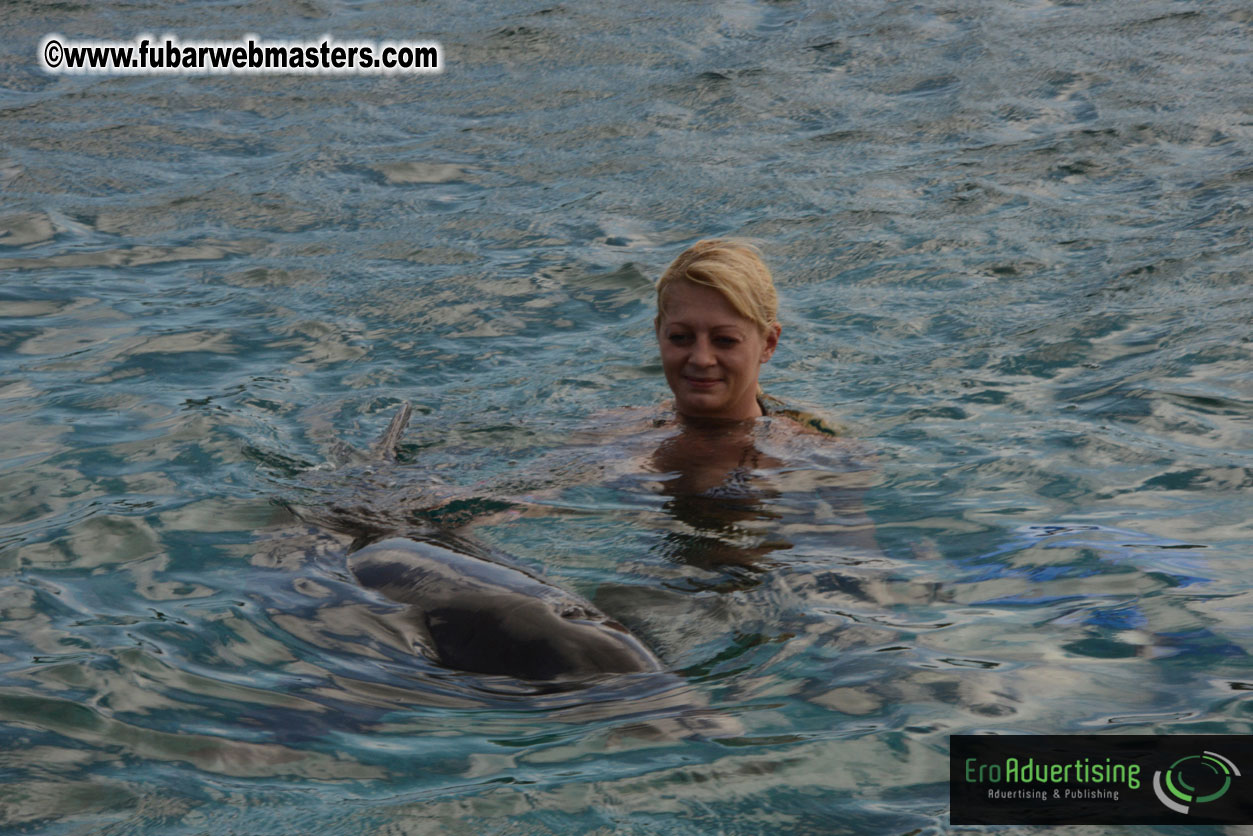 WireCard Dolphin Swim