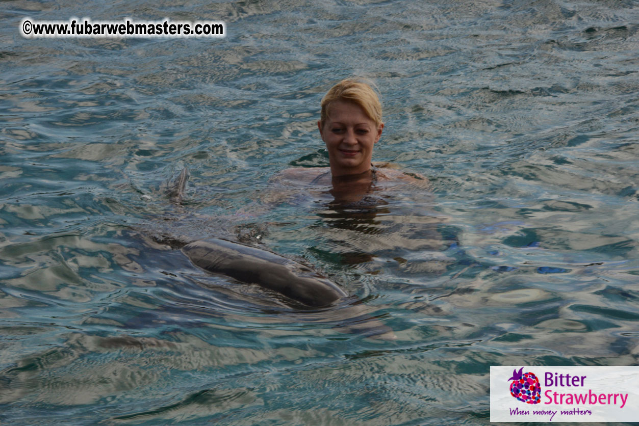 WireCard Dolphin Swim