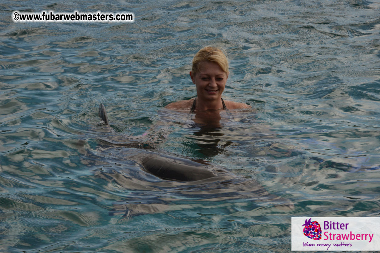 WireCard Dolphin Swim