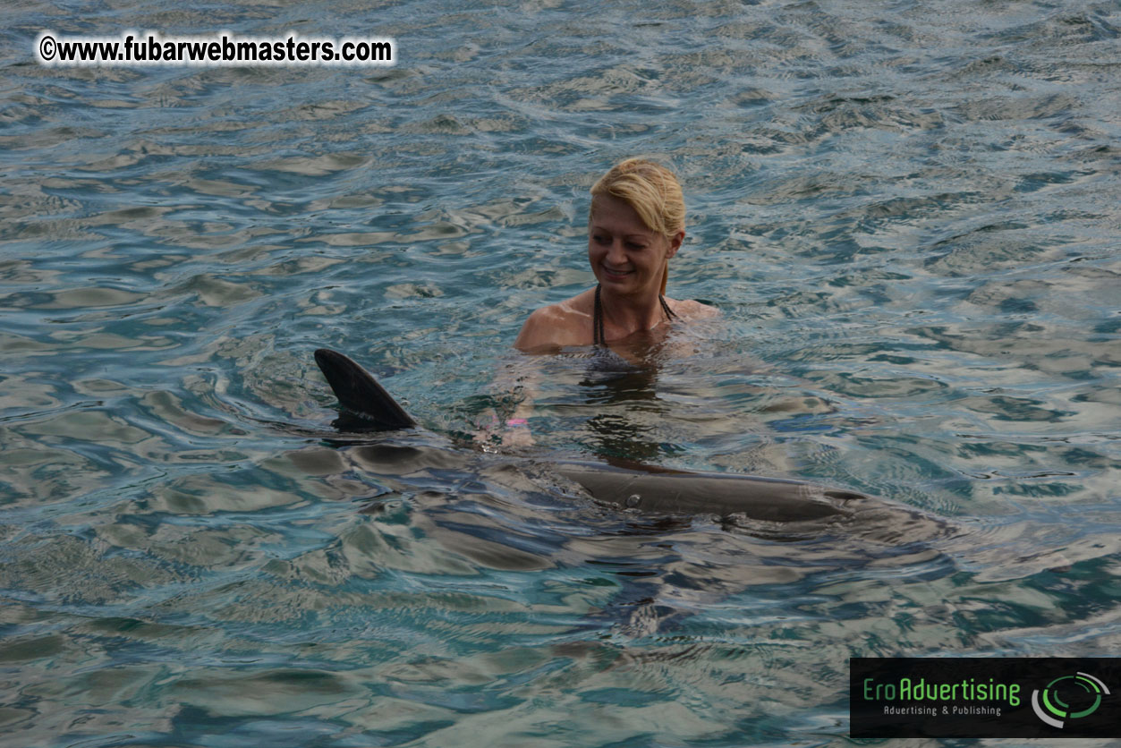 WireCard Dolphin Swim