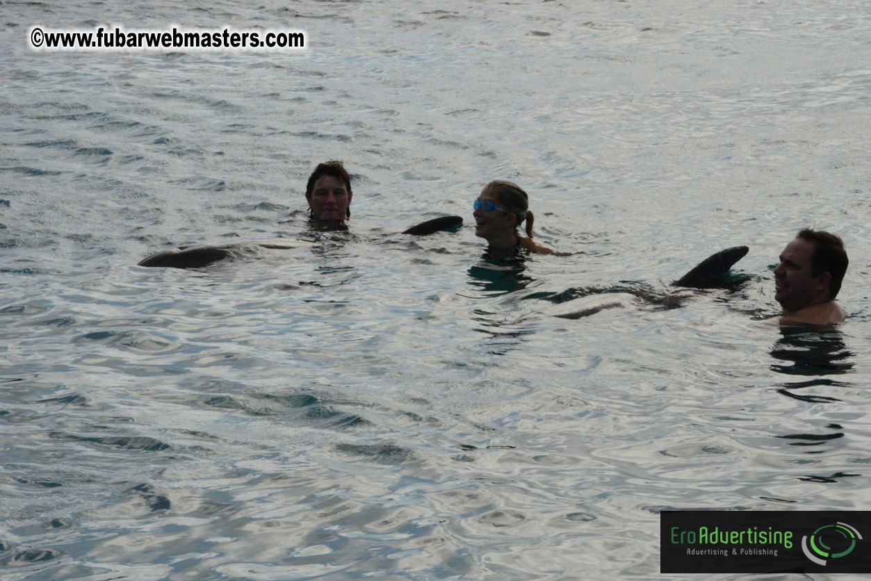 WireCard Dolphin Swim