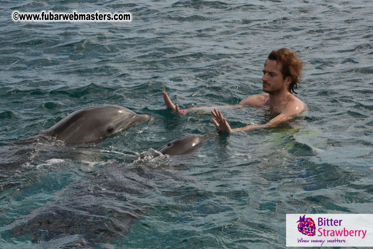 WireCard Dolphin Swim