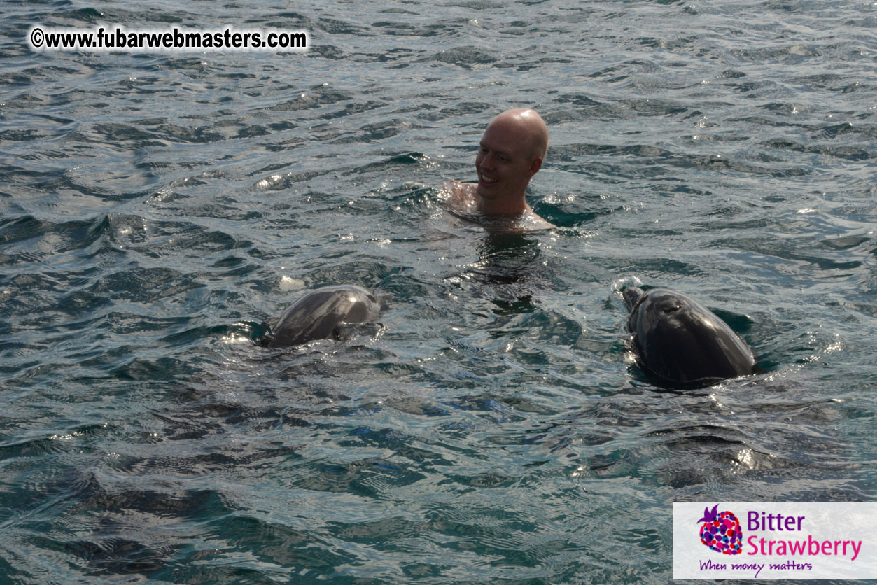 WireCard Dolphin Swim