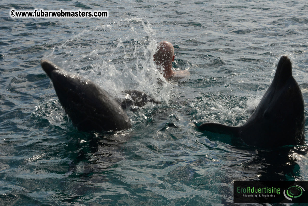 WireCard Dolphin Swim