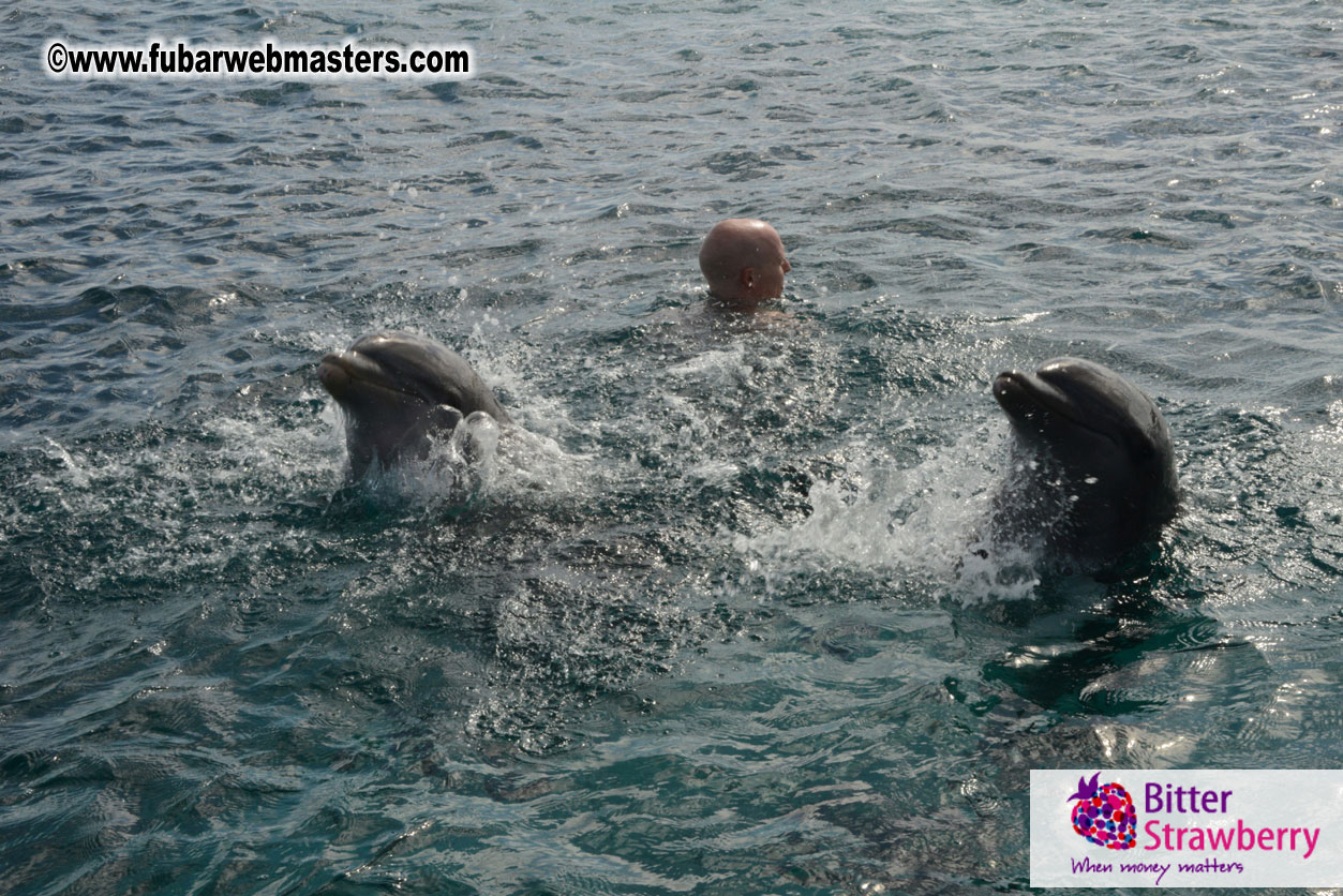 WireCard Dolphin Swim