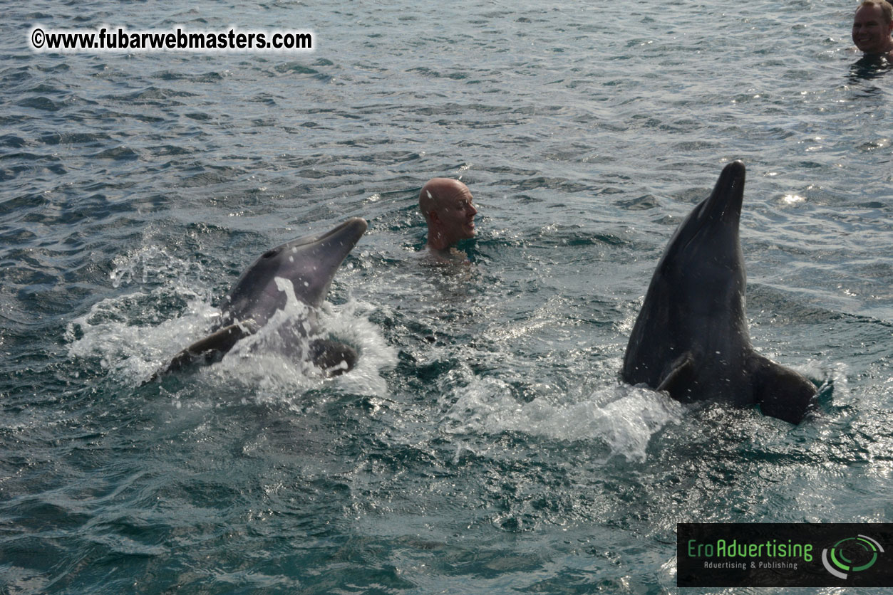 WireCard Dolphin Swim