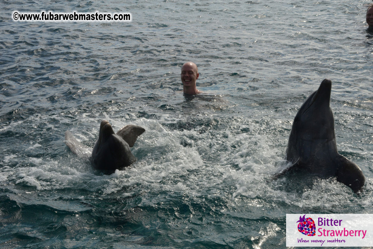 WireCard Dolphin Swim