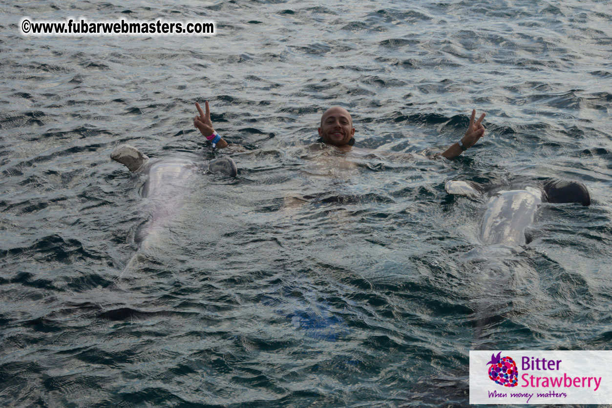 WireCard Dolphin Swim