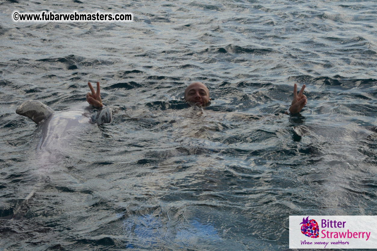 WireCard Dolphin Swim