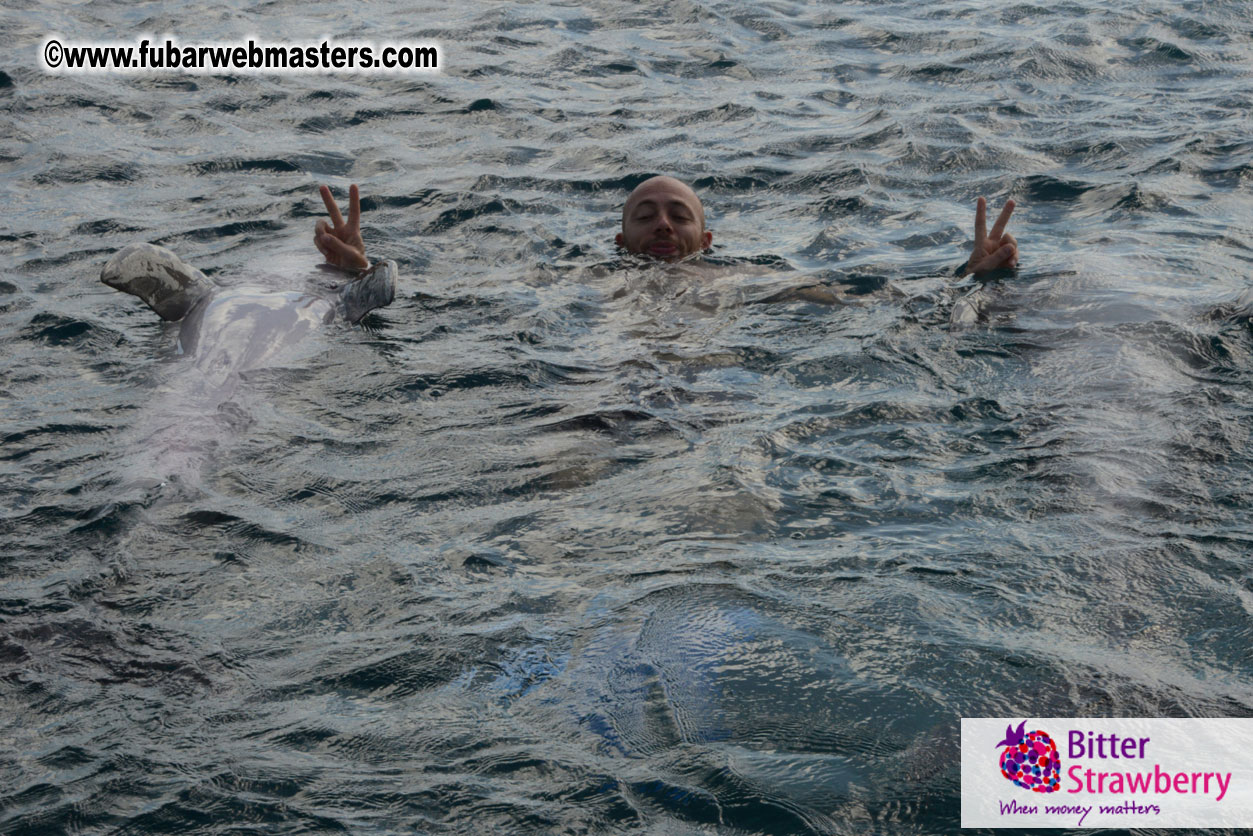 WireCard Dolphin Swim