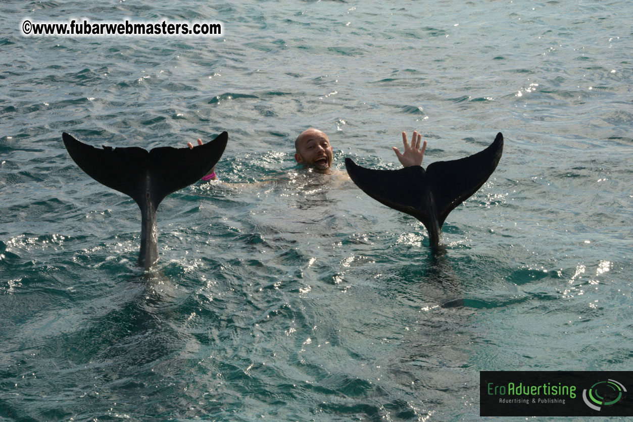 WireCard Dolphin Swim