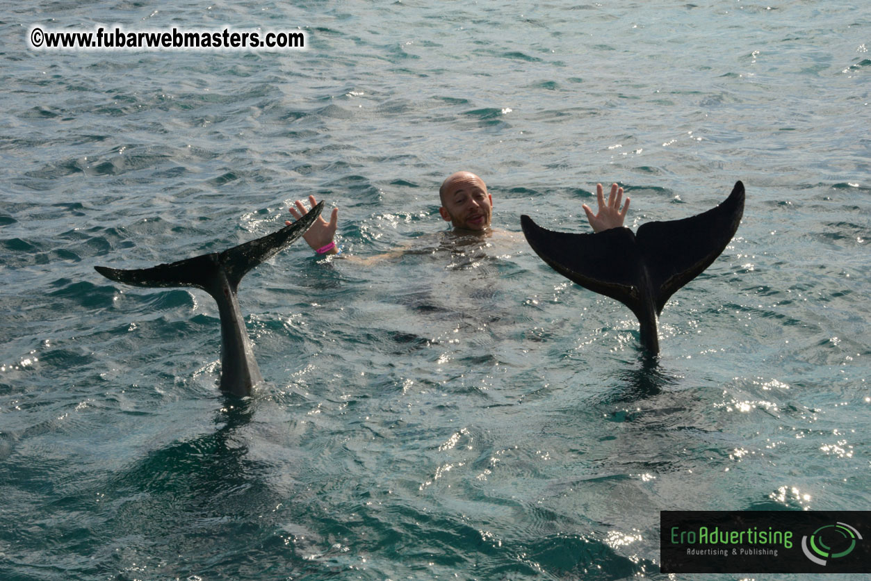 WireCard Dolphin Swim