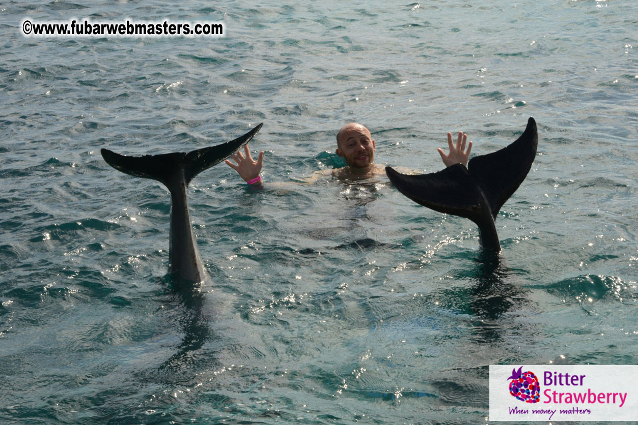 WireCard Dolphin Swim