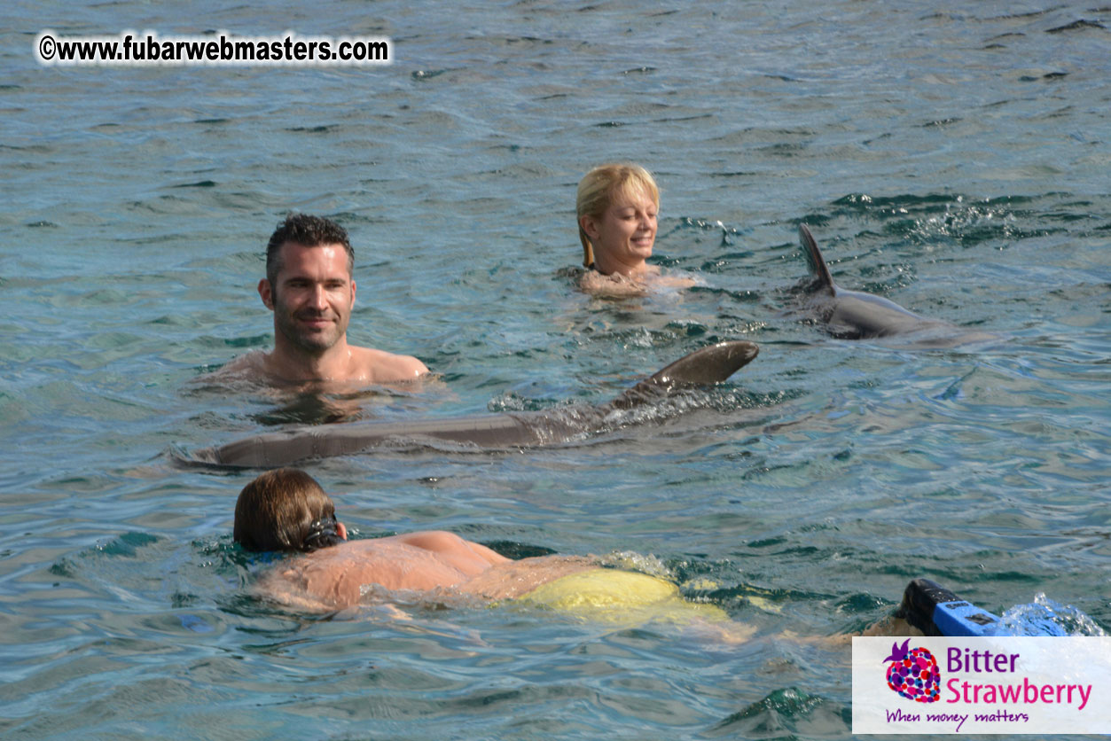 WireCard Dolphin Swim