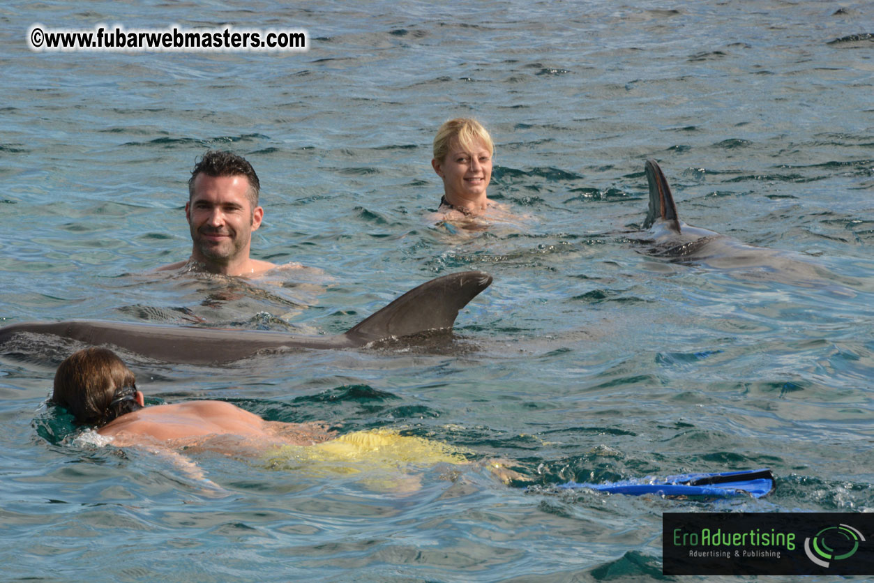 WireCard Dolphin Swim