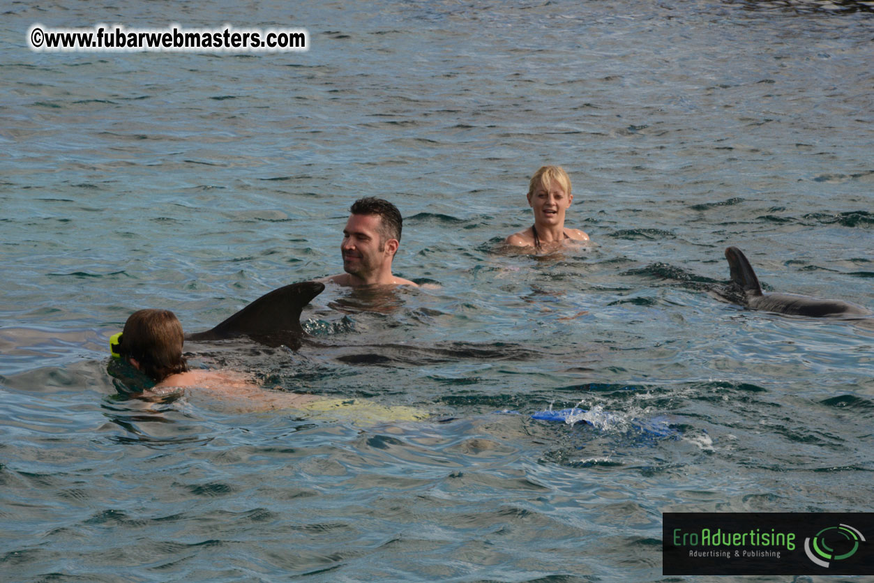 WireCard Dolphin Swim